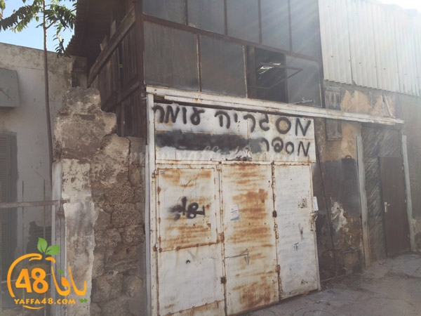 monaqsat yaffa (2).jpg